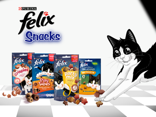 nourriture chat felix